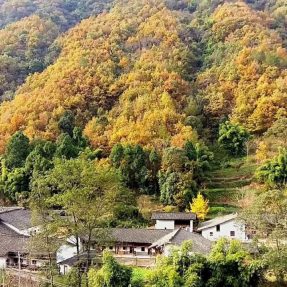 紀(jì)錄片《西河流韻》之五指山拍攝花絮