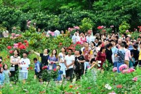 沸騰的小山村——伏虎寺外桃源，令人震撼的美！